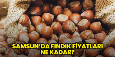 Samsun’da Fındık Fiyatları Ne Kadar? İşte Güncel Fiyatlar…