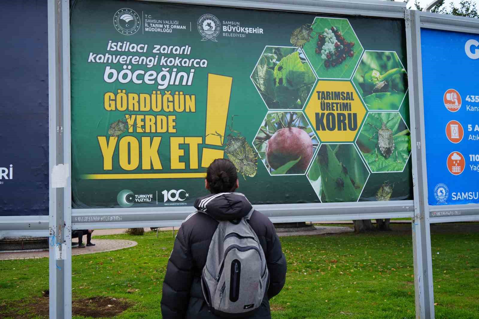 kahverengi-kokarcayla-mucadele-billboardlarda-gordugun-yerde-yok-et-qXmIusBX.jpg