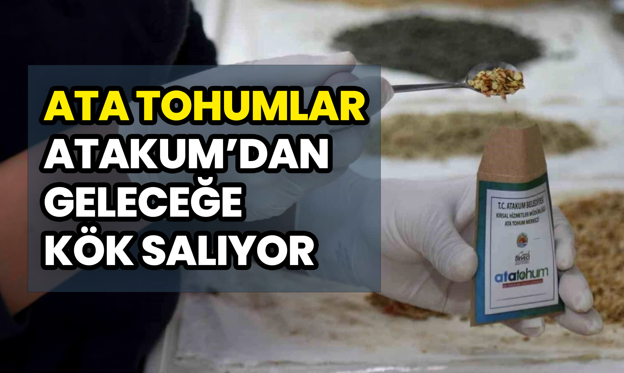 Ata Tohumlar, Atakum’dan Geleceğe Kök Salıyor