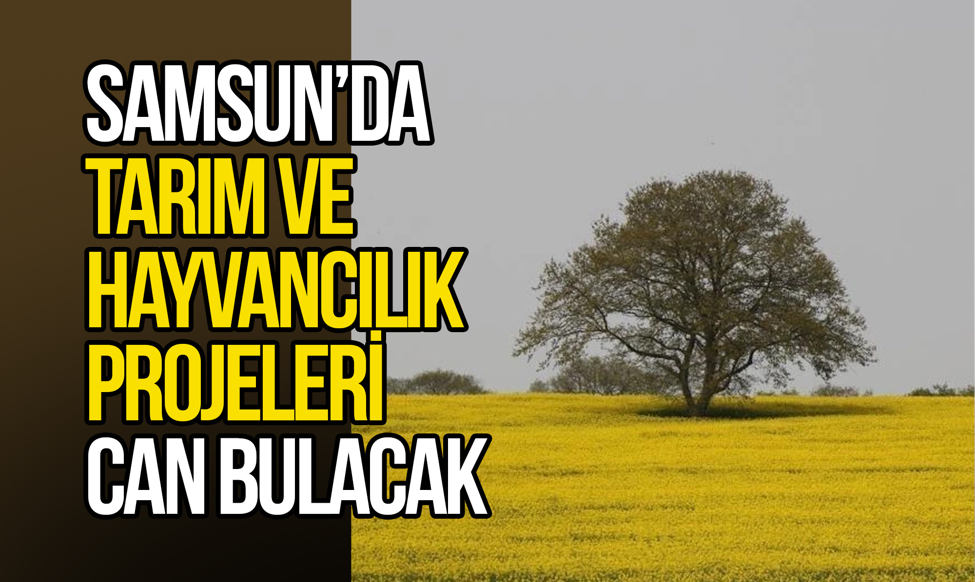 Samsun’da Tarım ve Hayvancılık Projeleri Can Bulacak