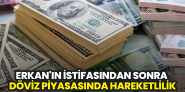 Erkan'ın İstifasından Sonra Döviz Piyasasında Hareketlilik