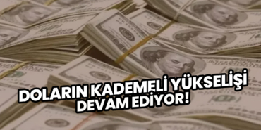 Doların Kademeli Yükselişi Devam Ediyor!