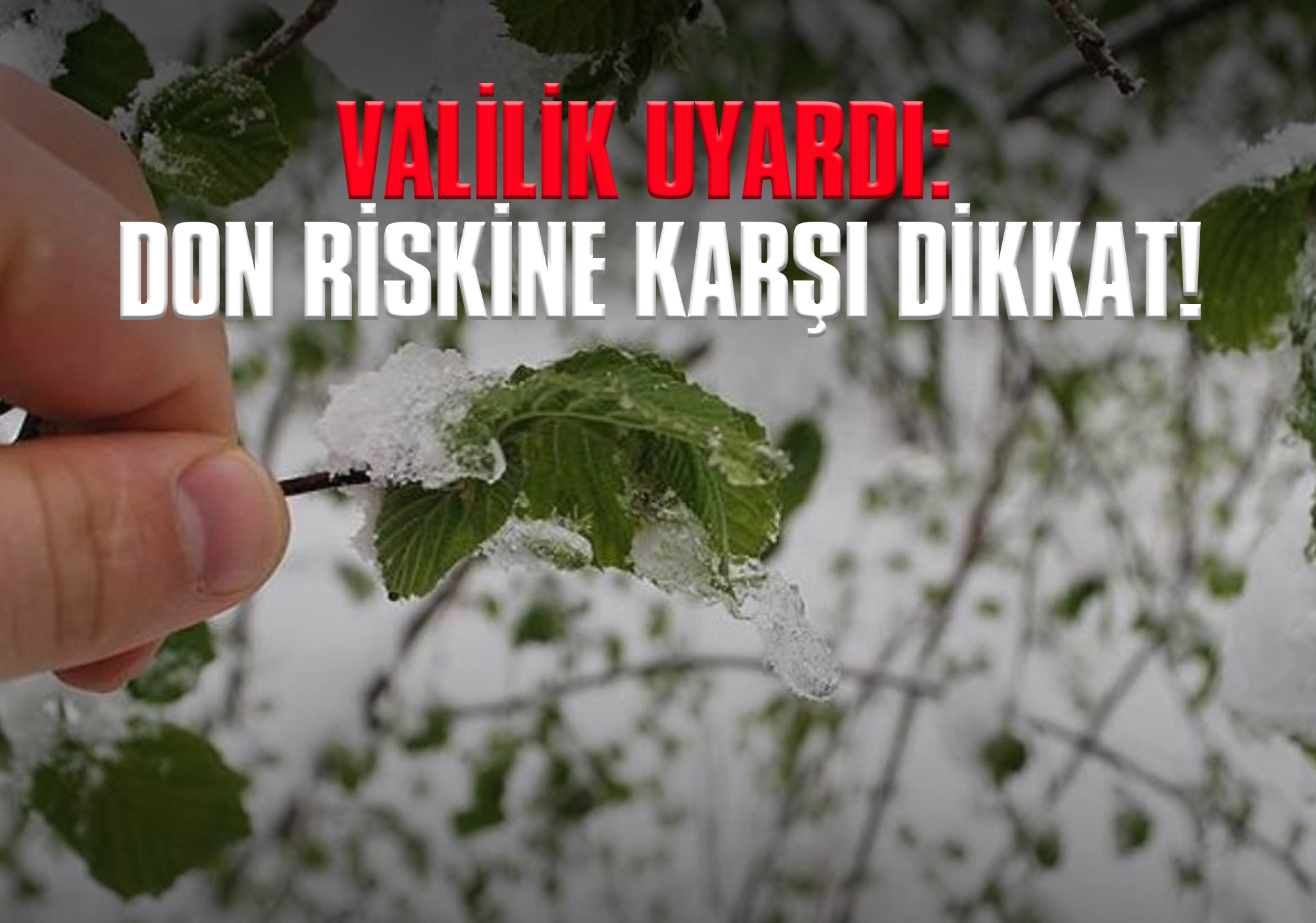 Valilik Uyardı: Don Riskine Karşı Dikkat!