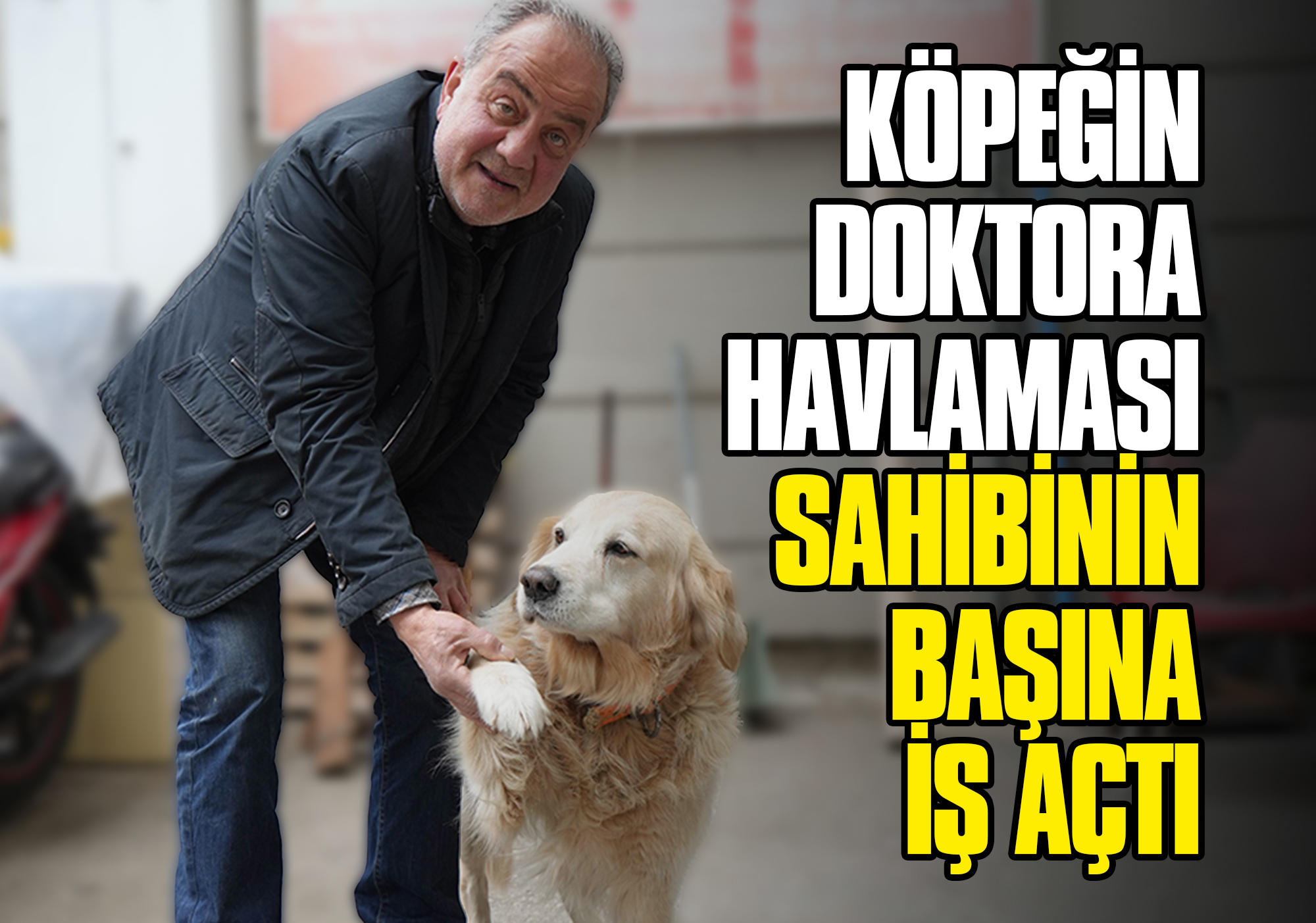 KÖPEK