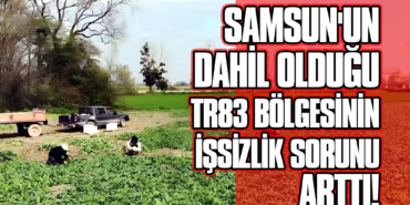 SAMSUN-TR