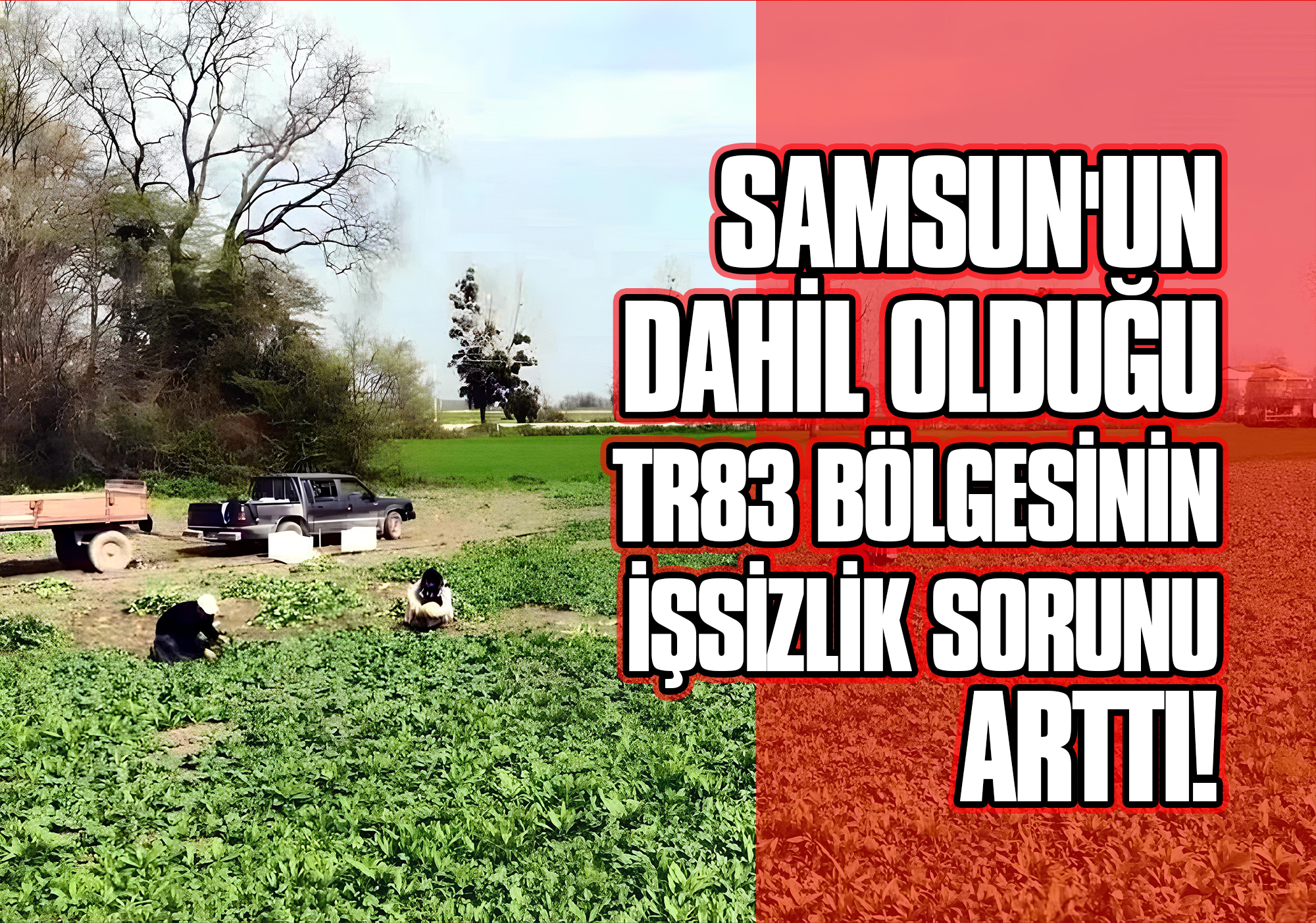 SAMSUN-TR