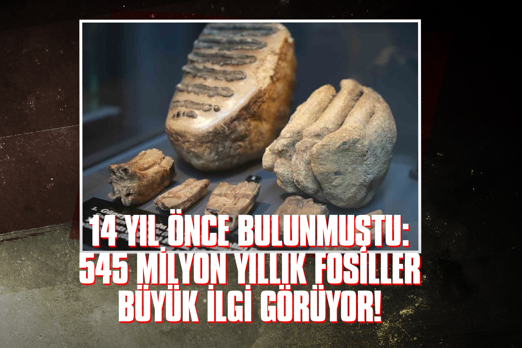 14-Yıl-Önce-Bu