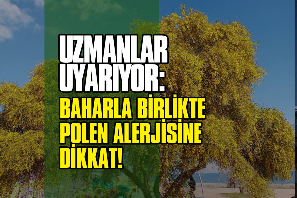 Uzmanlar Uyarıyor: Baharla Birlikte Polen Alerjisine Dikkat!