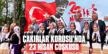 Büyük cakirlar-korusu