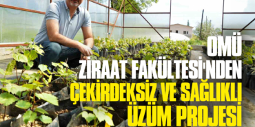 OMÜ-Ziraat-Fakültesi'nden-Çekirdeksiz-ve-Sağlıklı-Üzüm-Projesi