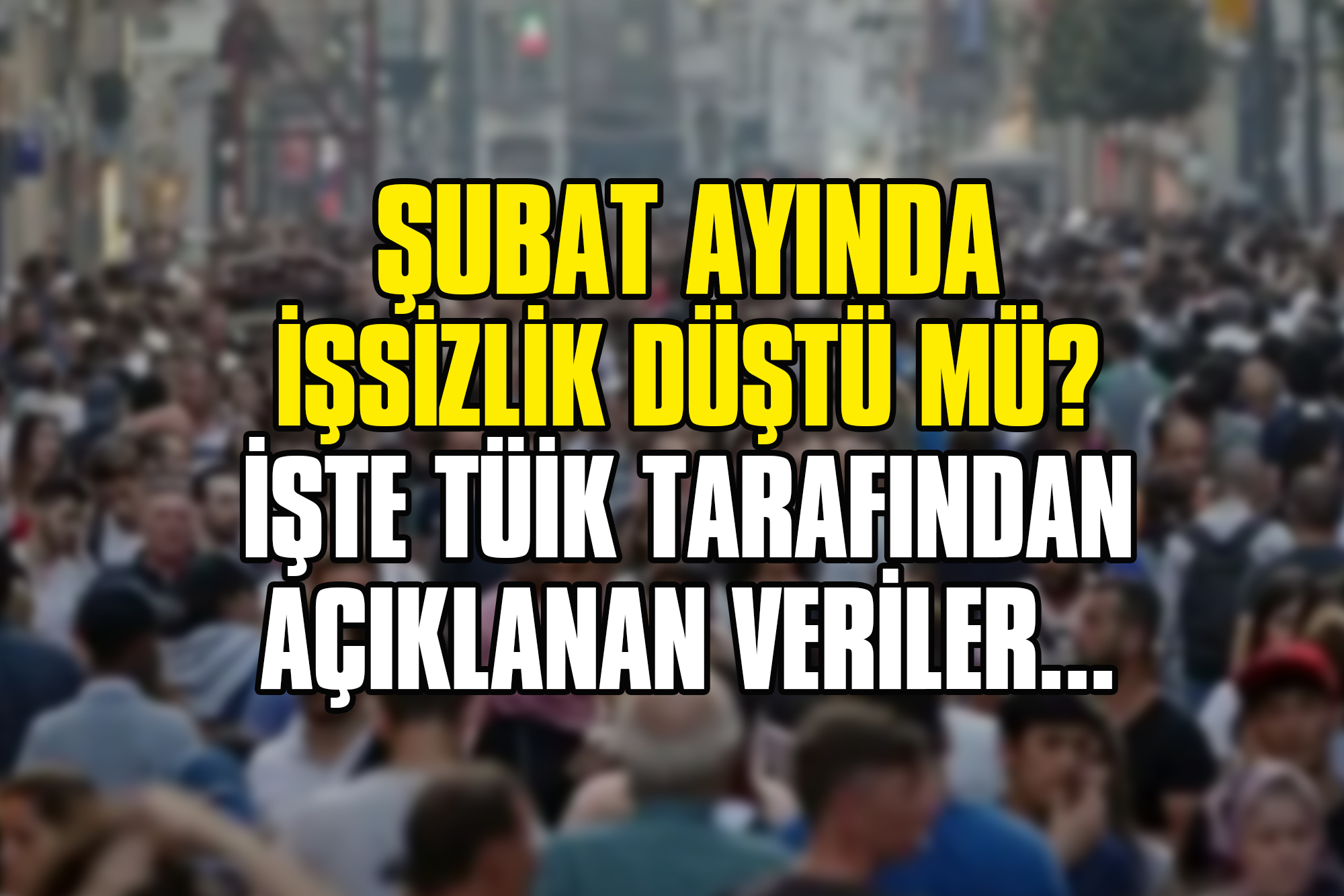 Şubat-Ayında-işssizlik