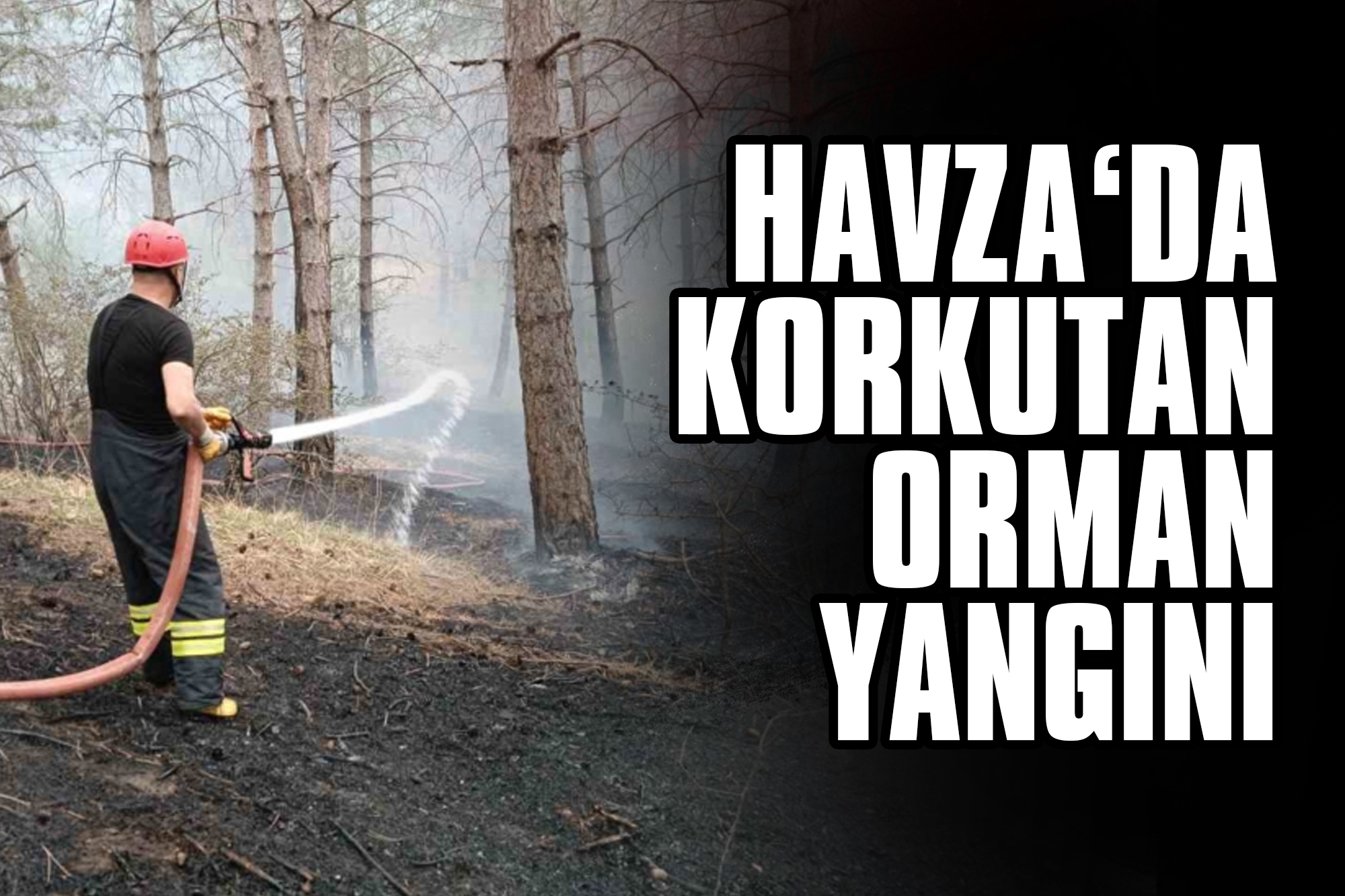 havza-orman-yangini