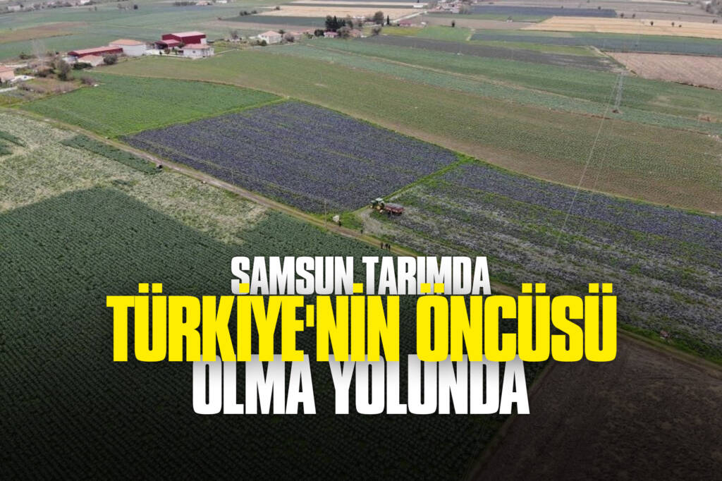 Samsun Tarımda Türkiye'nin Öncüsü Olma Yolunda