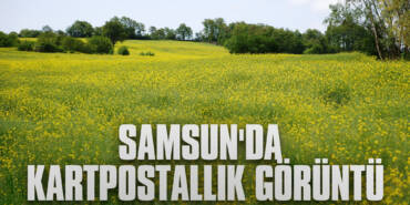 Samsun'da Kartpostallık Görüntü