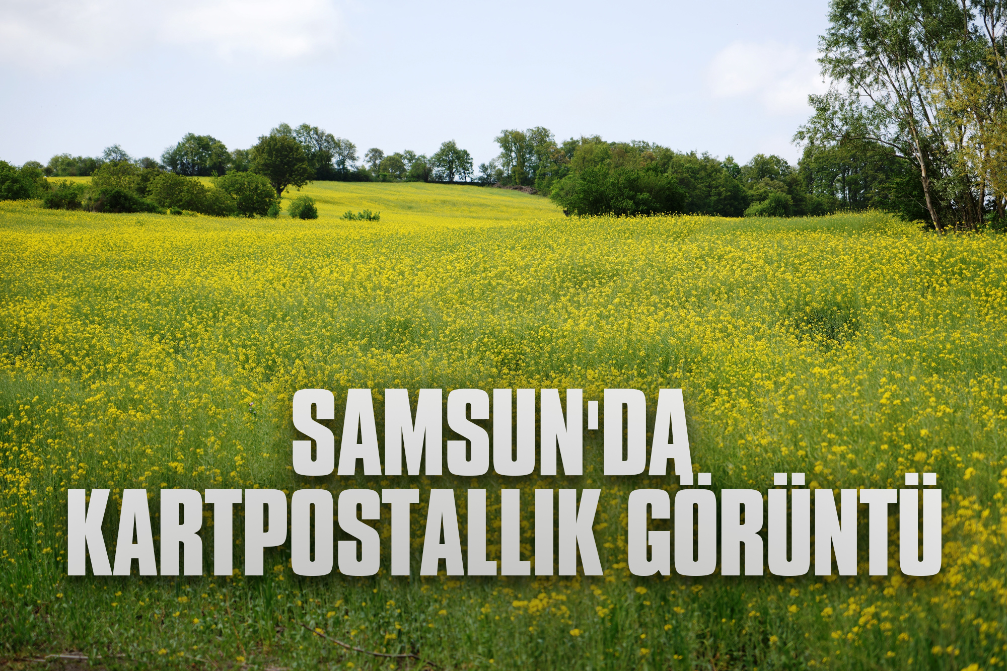 Samsun'da Kartpostallık Görüntü