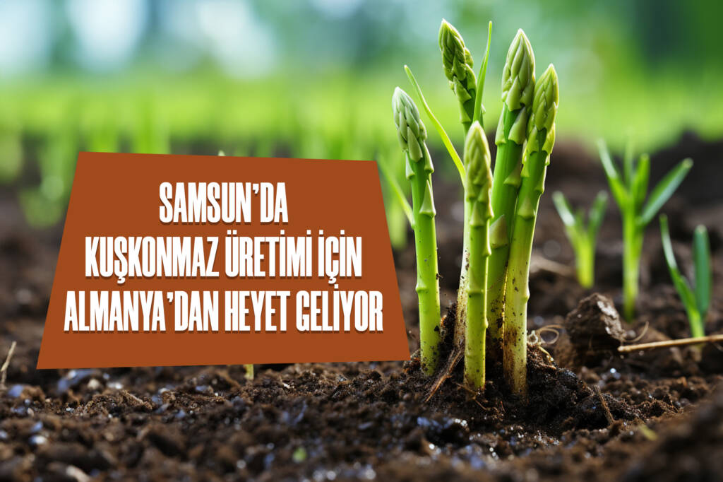 Samsun’da Kuşkonmaz Üretimi için Almanya’dan Heyet Geliyor