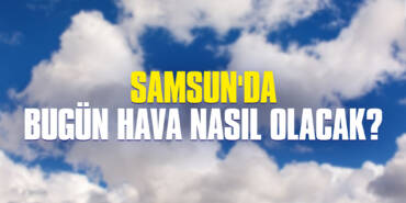 samsn-hava