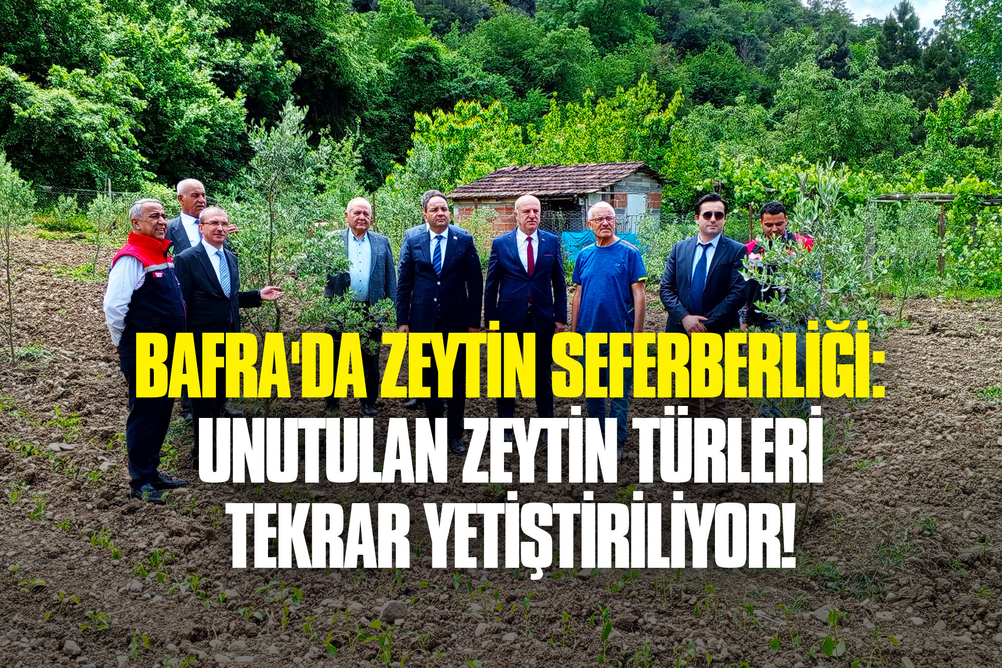 zeytin-seferberligi