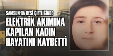 Samsun'da Besi Çiftliğinde Elektrik Akımına Kapılan Kadın Hayatını Kaybetti