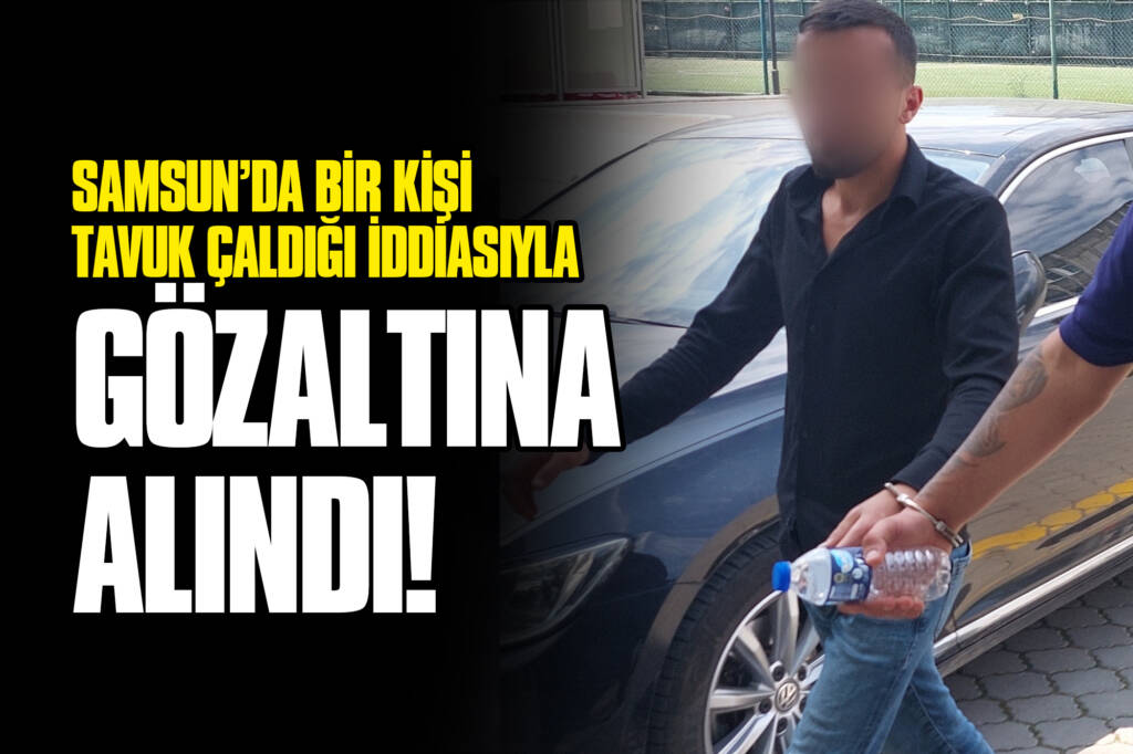 Samsun’da Bir Kişi Tavuk Çaldığı İddiasıyla Gözaltına Alındı