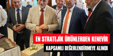 En Stratejik Ürünlerden Kenevir, Kapsamlı Değerlendirmeye Alındı