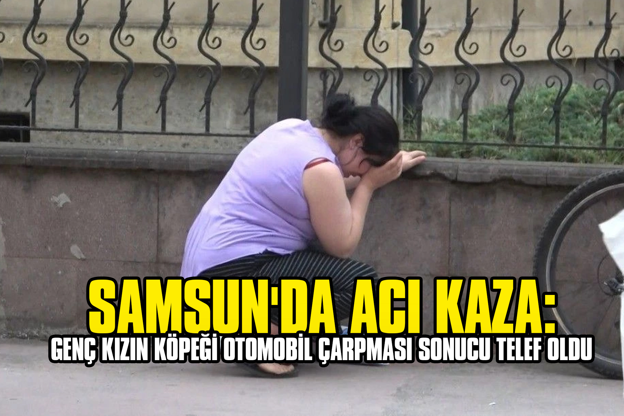 Samsun'da Acı Kaza: Genç Kızın Köpeği Otomobil Çarpması Sonucu Telef Oldu