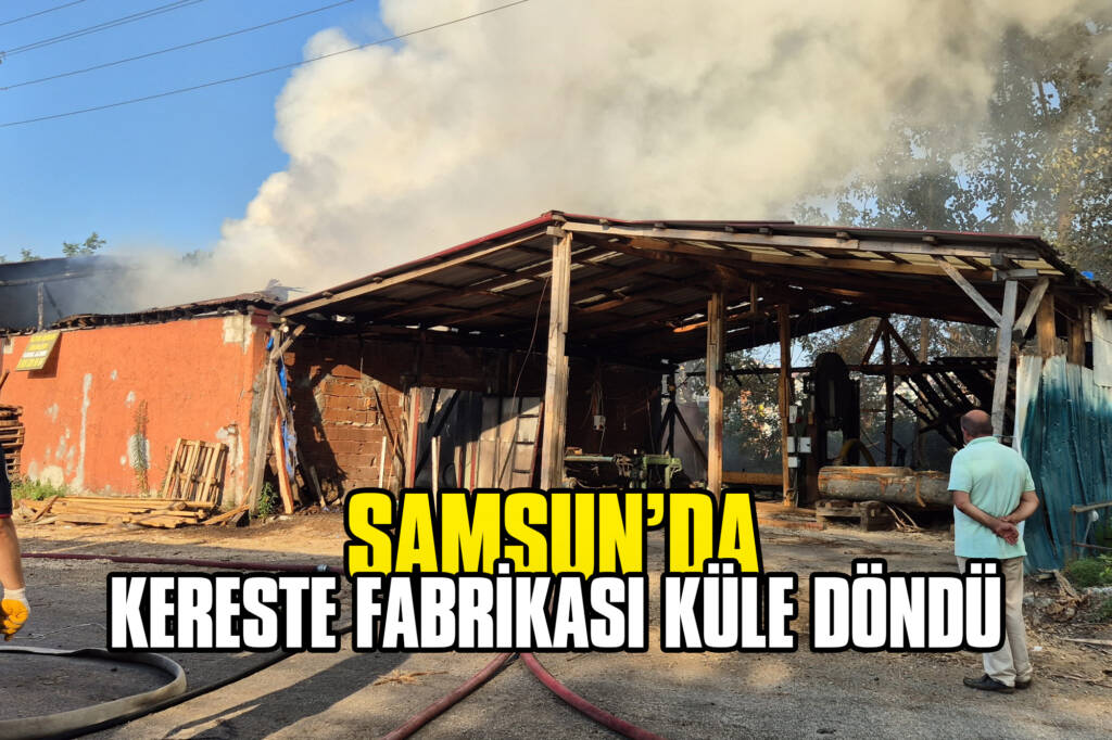 Samsun’da Kereste Fabrikası Küle Döndü