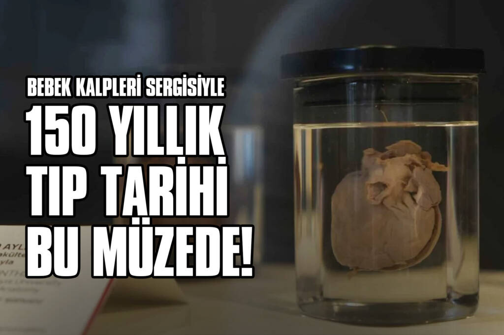 Bebek Kalpleri Sergisiyle 150 Yıllık Tıp Tarihi Bu Müzede!