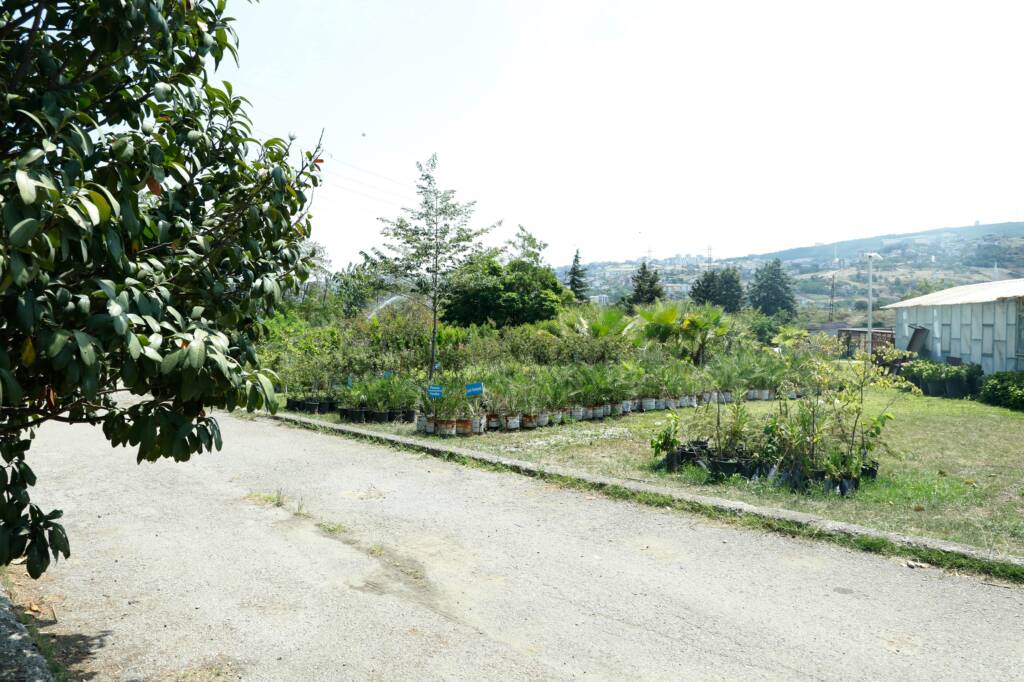 Samsun Manşet - Samsun Haberleri