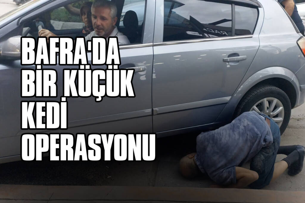 Bafra'da Bir Küçük Kedi Operasyonu