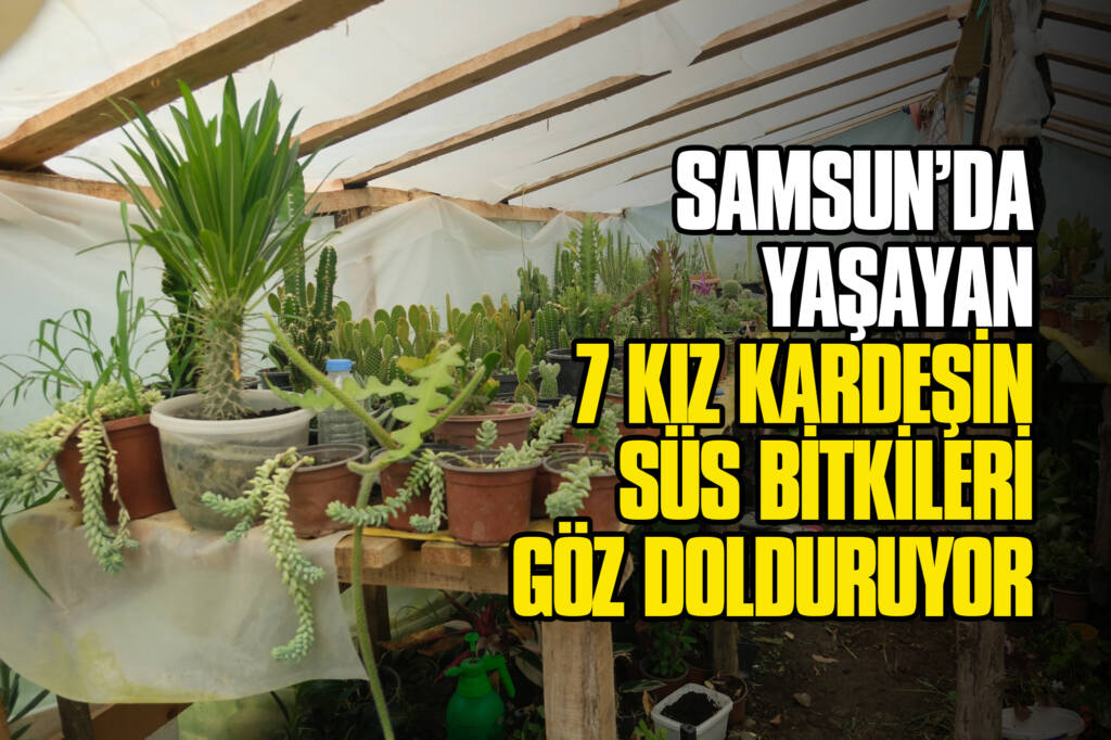 Samsun’da Yaşayan 7 Kız Kardeşin Süs Bitkileri Göz Dolduruyor