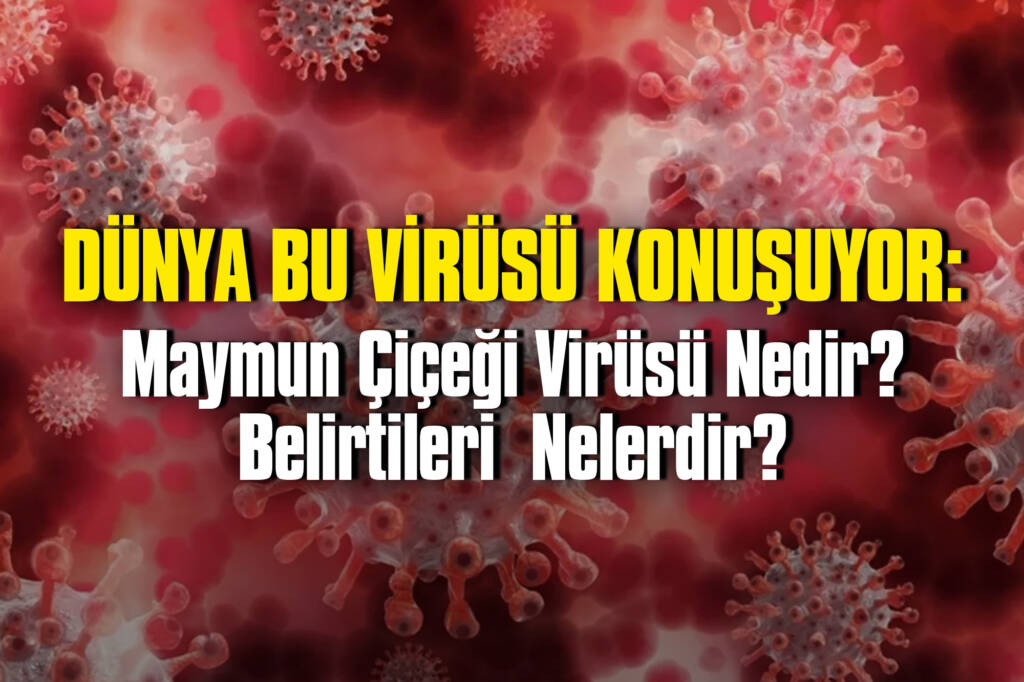 Dünya Bu Virüsü Konuşuyor: Maymun Çiçeği Virüsü Nedir? Belirtileri Nelerdir?