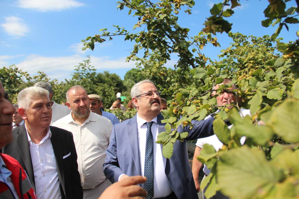 Samsun Manşet - Samsun Haberleri