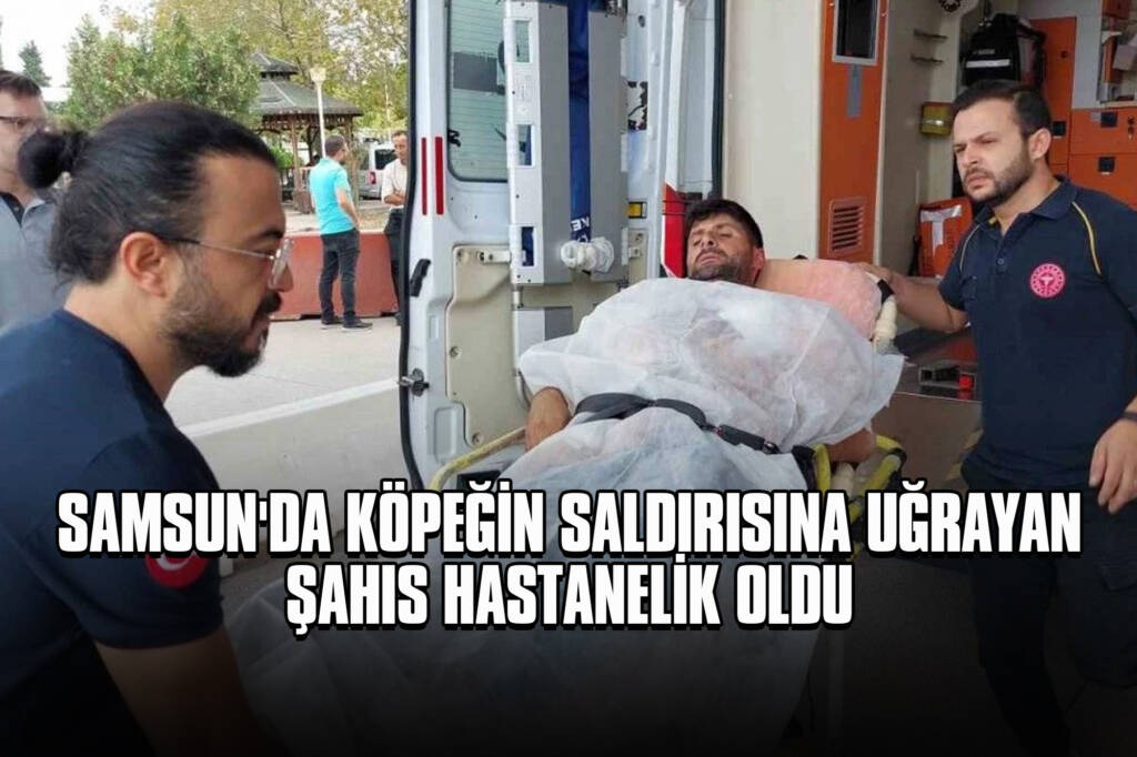 Samsun'da Köpeğin Saldırısına Uğrayan Şahıs Hastanelik Oldu