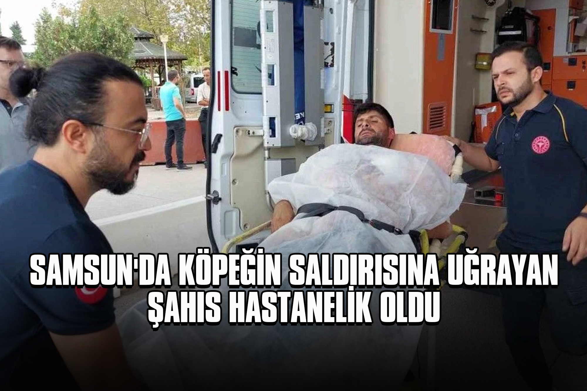 Samsun'da Köpeğin Saldırısına Uğrayan Şahıs Hastanelik Oldu