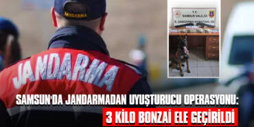 Samsun'da Jandarmadan Uyuşturucu Operasyonu: 3 Kilo Bonzai Ele Geçirildi