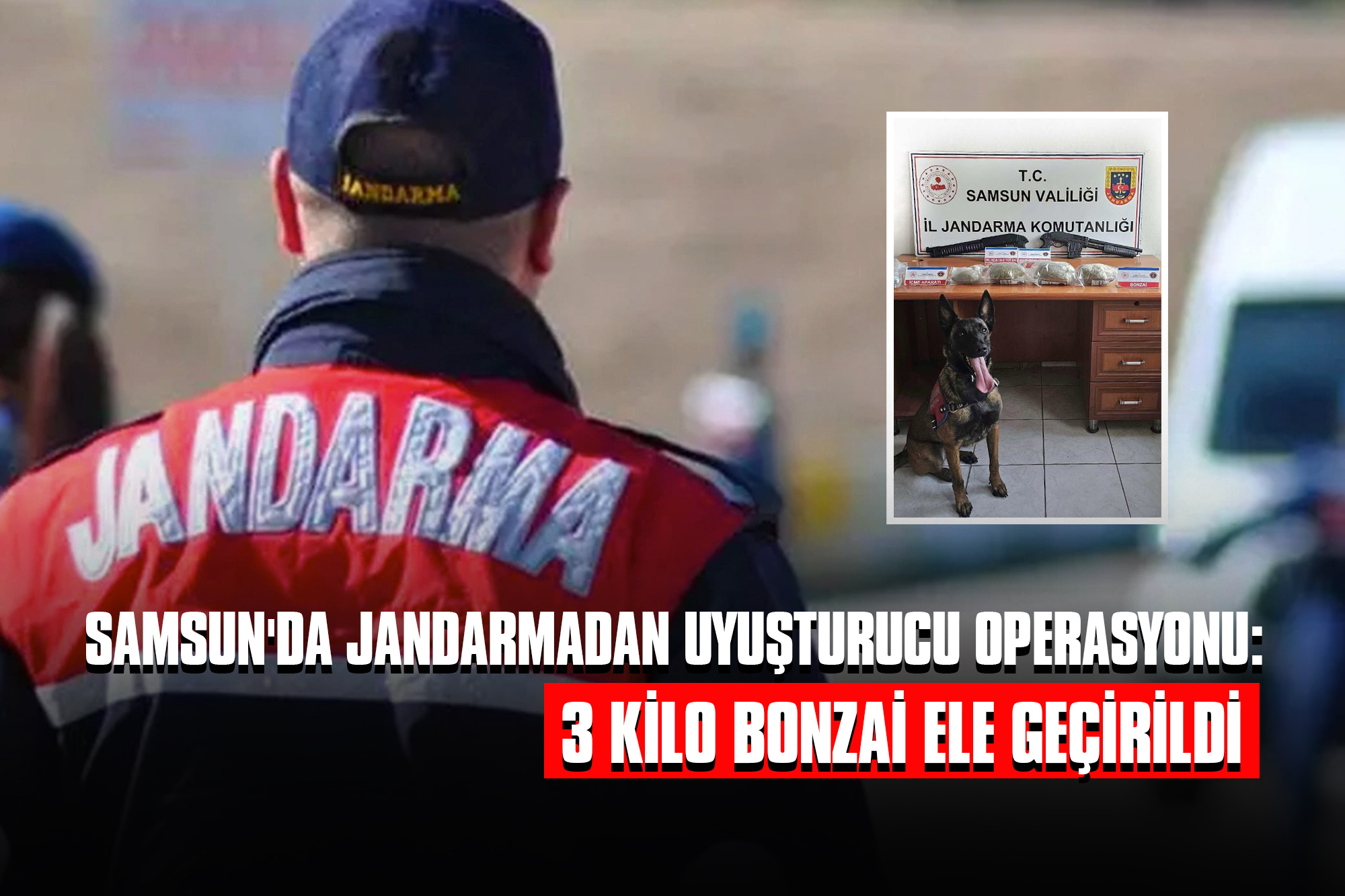 Samsun'da Jandarmadan Uyuşturucu Operasyonu: 3 Kilo Bonzai Ele Geçirildi