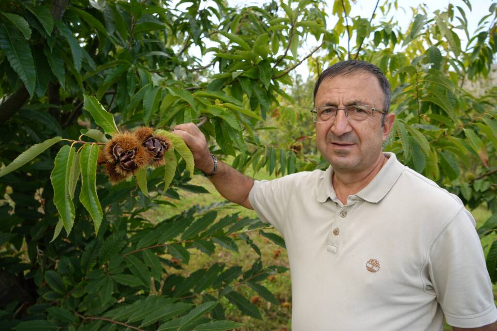 Samsun Manşet - Samsun Haberleri