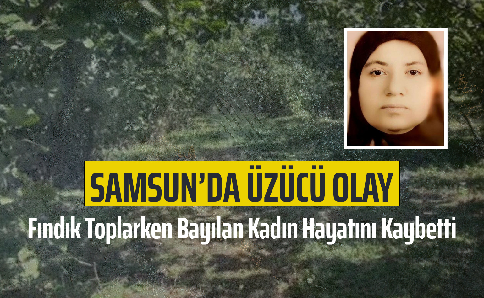 Samsun’da Fındık Toplarken Bayılan Kadın Hayatını Kaybetti