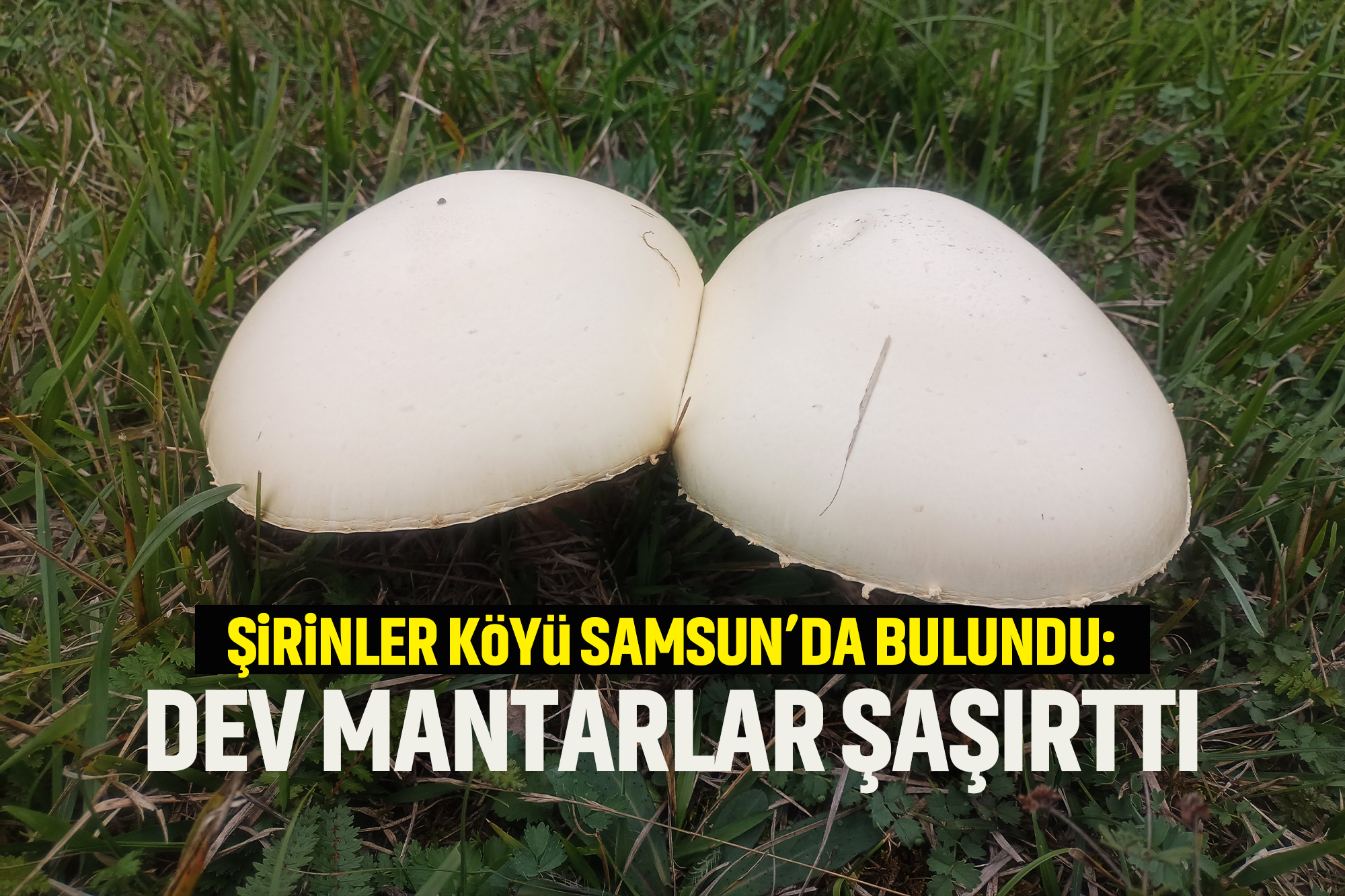 MANŞET 34 kopya