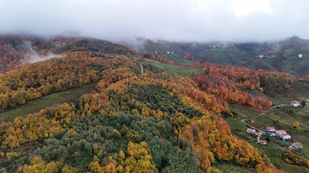 Samsun Manşet - Samsun Haberleri