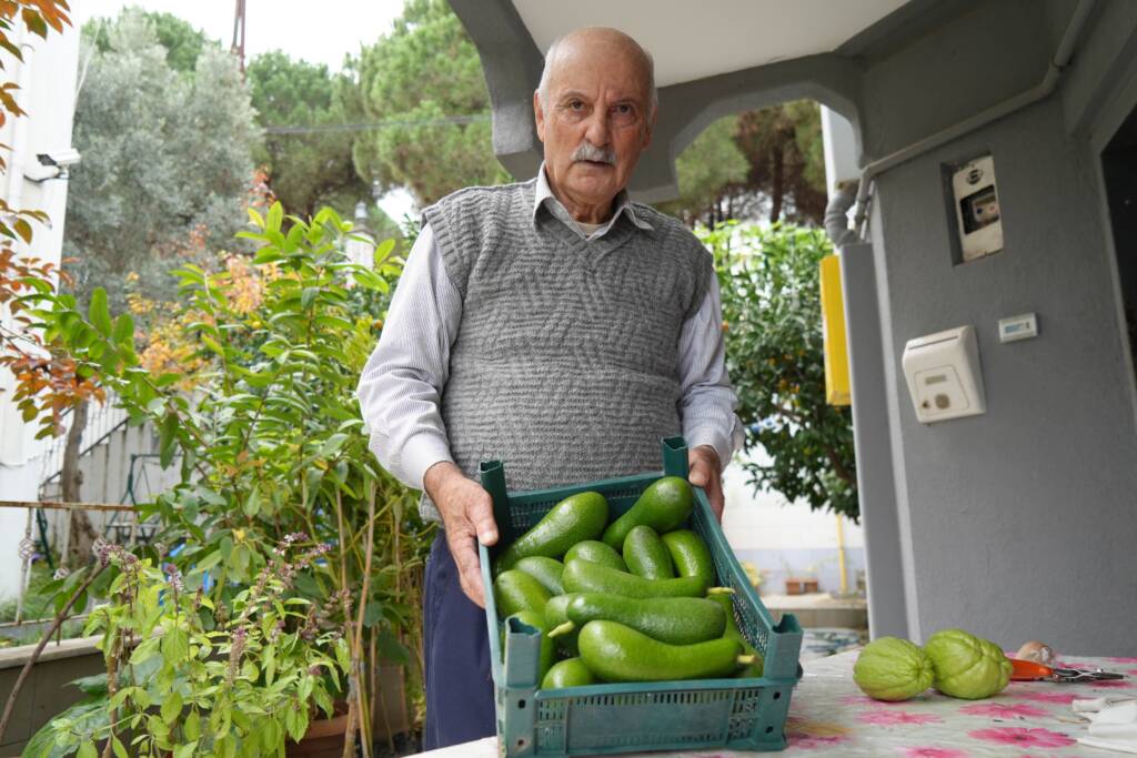 Samsun Manşet - Samsun Haberleri