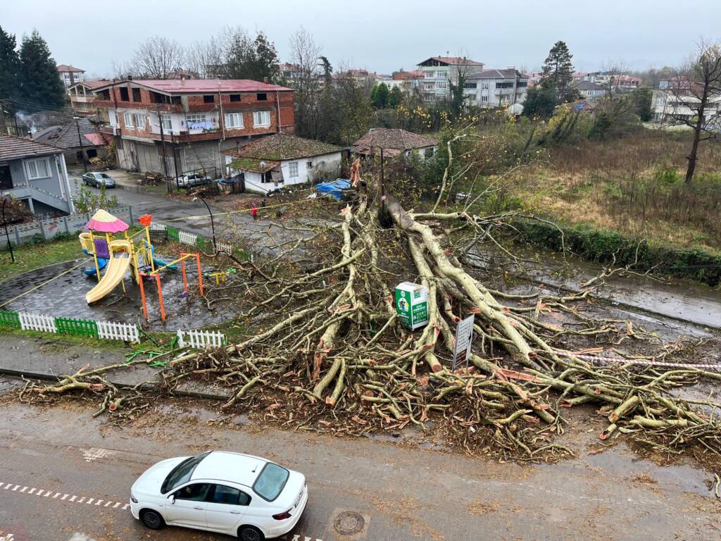 Samsun Manşet - Samsun Haberleri