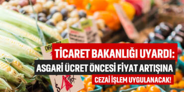 49 kopya