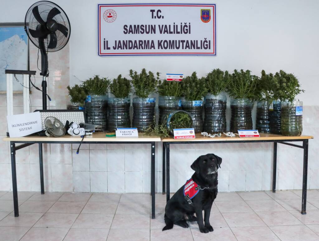 Samsun Manşet - Samsun Haberleri