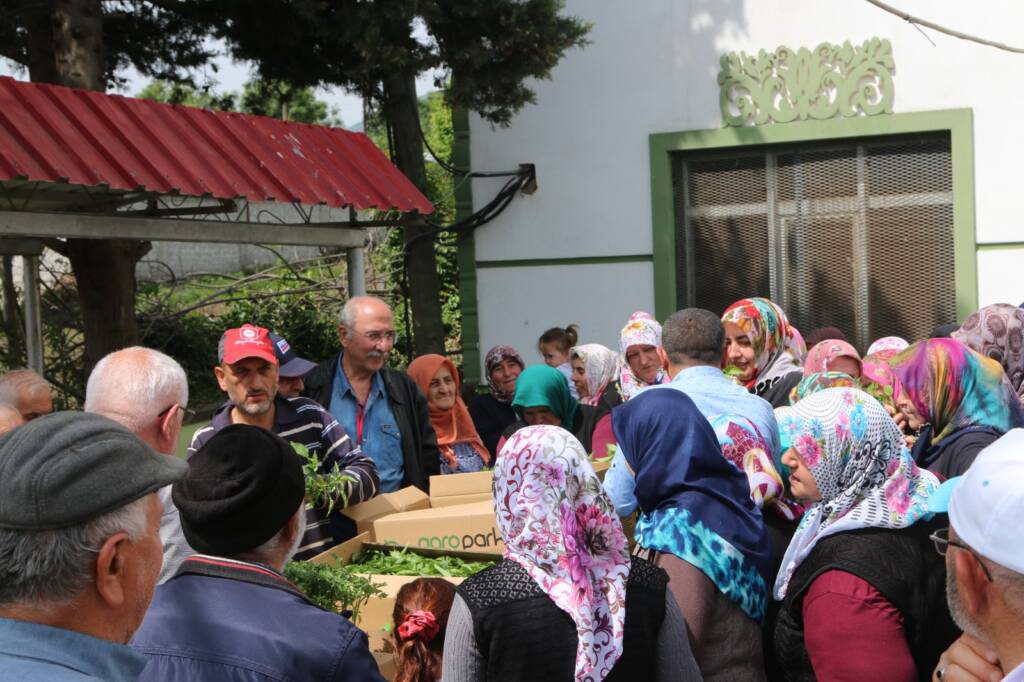 Samsun Manşet - Samsun Haberleri