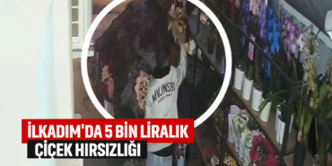 çiçek-hırsızlığı