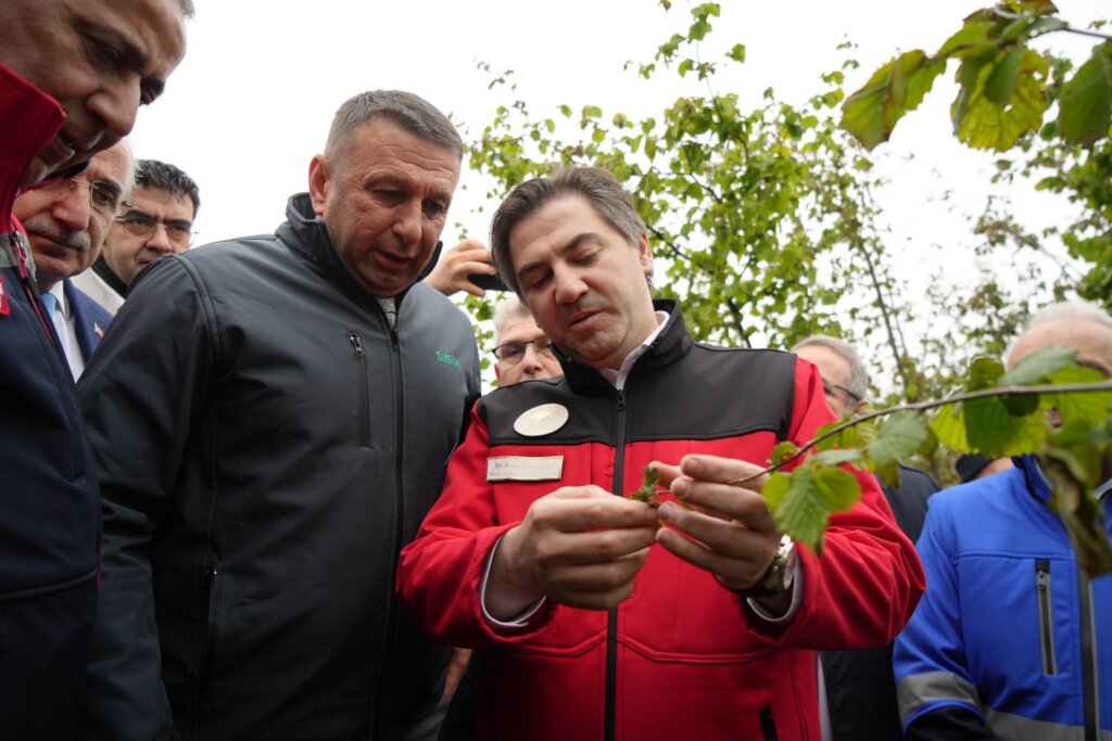 Cumhuriyet tarihinin en büyük zirai don hadisesi samsun manşet haberleri Samsun manşet - samsun haberleri