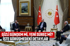 dem-erdoğan-görüşmesi