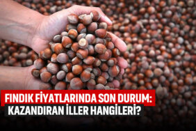 fındık-fiyatlarında-son-durum